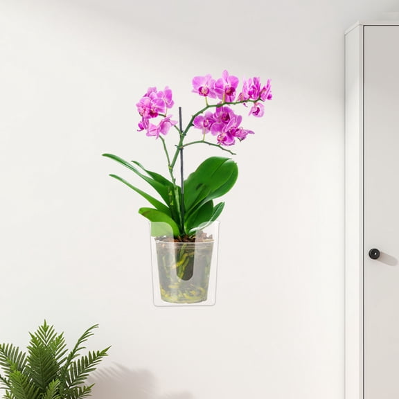 Yardwe 2 Pcs Clear Wall Hanging Flower Pots, Indoor Orchid with Seamless Mount, Transparent Plant Display for Home Decor