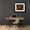 thumbnail image 4 of Guercino 24x20 Black Modern Framed Museum Art Print Titled - Samson Captured by the Philistines (1619), 4 of 5