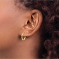 thumbnail image 3 of 14K Yellow Gold Polished And Textured Hoop Earrings (14 X 15) Made In Italy th669, 3 of 5