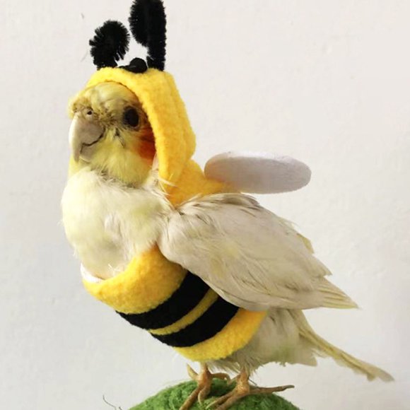 OULII Pet Owners 1Set Warm Parrot Clothes Adorable Bird Costume for Holiday Performances