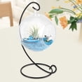 thumbnail image 3 of Glass Terrariums For Plants Glass Bulb Display Borosilicate Glass Transparent Hanging Glass Vase Large Terrarium With Frame For Air Plants Succulent Planters, 3 of 8
