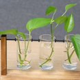 thumbnail image 2 of Terrarium Creative Hydroponic Plant Transparent Vases Flower Pot Wooden Frame Glass Table Plant Home Bonsai Embellishment, 2 of 9