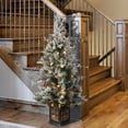 thumbnail image 4 of National Tree Company Pre-Lit Artificial Entrance Christmas Tree, Snowy Bedford, Green, Clear Lights, Flocked, Decorative Base, 4 Feet., 4 of 4
