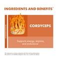 thumbnail image 4 of Host Defense Cordyceps Powder - 3.5 oz (66 Servings), 4 of 7
