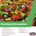 thumbnail image 2 of Harris Seeds Zinnia Zahara Mix, Mid-Height Flowering Variety, 25 Count, 2 of 7