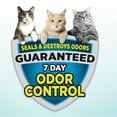 thumbnail image 5 of (2 pack) ARM & HAMMER Cloud Control Multi-Cat Clumping Cat Litter with Hypoallergenic Light Scent, 14 lb, 5 of 14