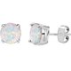 thumbnail image 1 of 925 Solid Sterling Silver 6MM Round Created Opal Stud Comes Earrings, with Gift Box for Women Ref: 5765, 1 of 5
