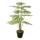 thumbnail image 5 of Plantas artificiales, vegetación, bonsái, plantas pequeñas, decoración, escritorio, exhibición, planta en maceta Estilo B, 5 of 9