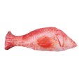 thumbnail image 2 of Cat Chew Toy Squeaky Realistic Fish Stuffed Kitten Biting Toy Pet Teething Toy, 2 of 10