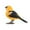 Orange, variant on Robot Bird Singing and Chirping Bird Toy Simulate The Chirping Of Birds Battery Operated Realistic Singing Chirping Birds for Home Decoration Light & Voice Control (without Battry)