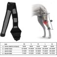thumbnail image 3 of Dog Elbow and Shoulder Support for Dysplasia and Arthritis, 3 of 5