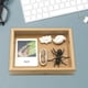 thumbnail image 4 of de Animal aprendizaje de imaginación juguetes educativos enseñanza de SIDA edad 3 4 5 CUTICAT juguetes de crecimiento de insectos para niños, 4 of 8