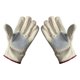 thumbnail image 2 of Guantes para recoger durianes, protectores de palma, artículos de protección portátiles, jardinería Estilo A, 2 of 9