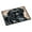 Multicolored, variant on Carolines Treasures AMB1415JMAT Black Bart the Labrador Door Mat Indoor Rug or Outdoor Welcome Mat 24x36 Doormat 36"L x