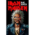 thumbnail image 1 of Iron Maiden Est 1975 Claw Poster, 1 of 2