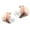 Rose Gold, variant on shyuyusa KZ ZEX Hybrid-Earphone HIFI Bass Passive Noise Reduction Upgraded Dynamic Hybrid Dual Driver HiFi Stereo IEM Wired Earbuds/Headphones with Detachable Cable for Musician Audiophile