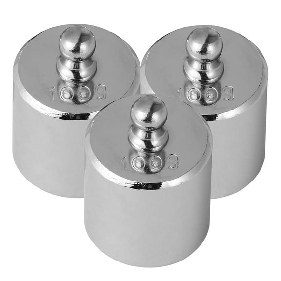 4 Pcs Calibration Weight 10 Gram 100g Wights Weighing Weights Digital Scale Balance