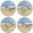 thumbnail image 1 of Coasterstone Sandpipers - Juego De 4 Posavasos, Talla Única, Multicolor, 1 of 2