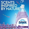 thumbnail image 5 of Dawn Ultra Botanicals Dishwashing Liquid Dish Soap, Lavender, 19.4 fl oz, 5 of 9