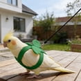 thumbnail image 2 of zhonghuaying Pet Birds Harness and Leash Flight Suit Harness Vest Outdoor Activity Fly Training Clothes for Cockatoo Parakeets Flight Suit and Leash(H,Green), 2 of 4