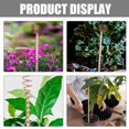 thumbnail image 1 of FOLOYORI 3Ud Antena De Para Cultivo Vegetal Hogar Propicia Fuertes Y Resistentes, 1 of 7