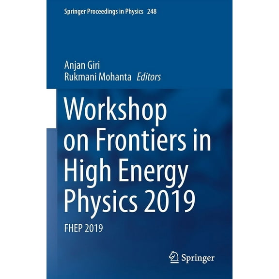 Springer Proceedings in Physics Workshop on Frontiers in High Energy Physics 2019: Fhep 2019, Book 248, (Paperback)