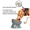 thumbnail image 4 of Ceramic Raised Cat Dishes or Small Dog Bowl, Pet Food or Water Bowls,5.3-Inch Gray 10oz, 4 of 5