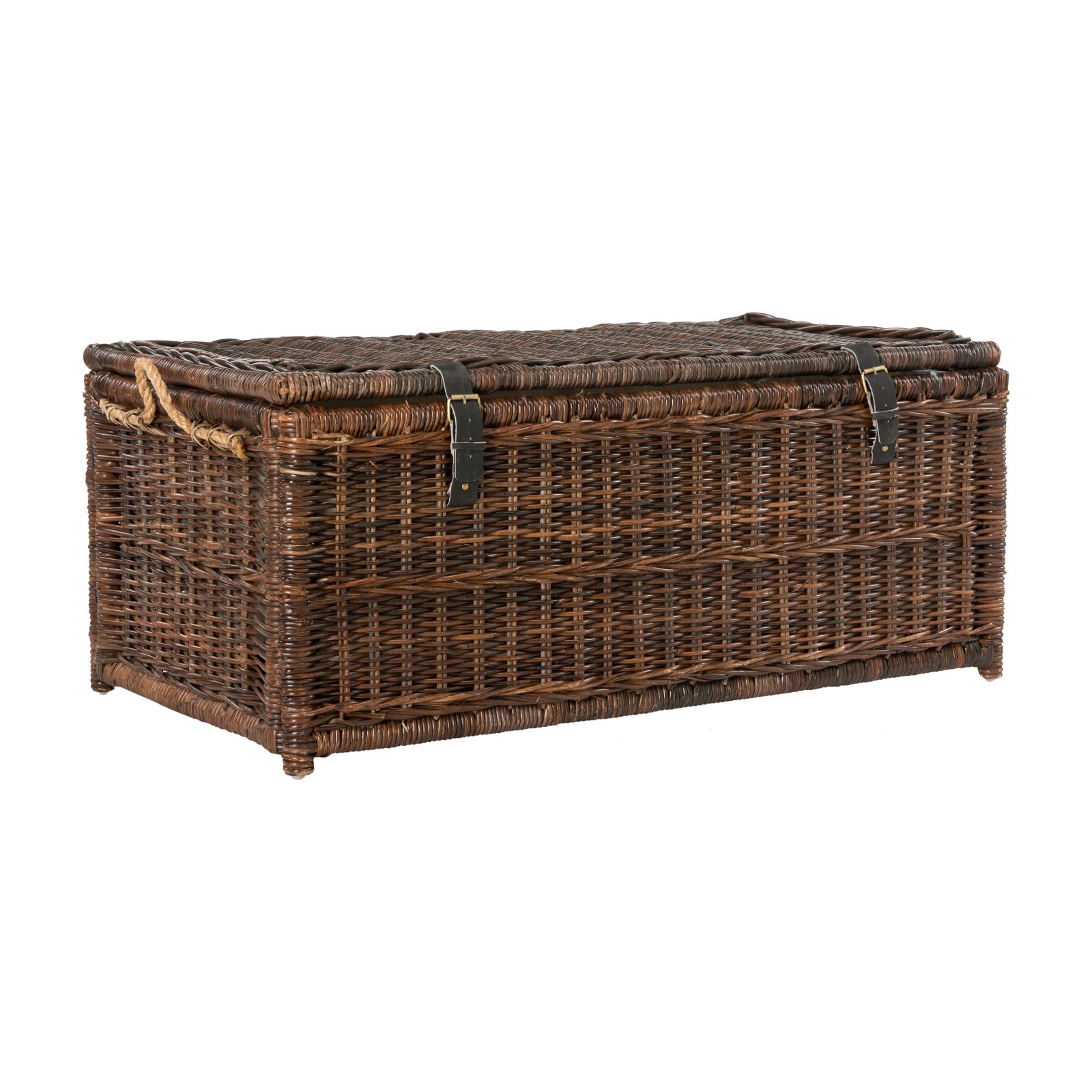 Happimess Caden Storage Trunk