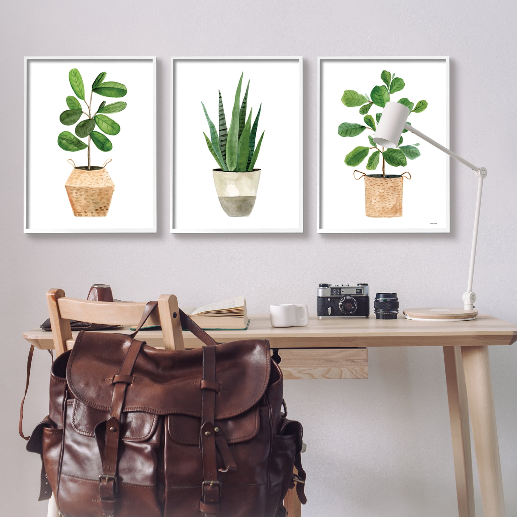 Stupell Minimal Potted Plants Botanicals Botanical & Floral Painting White Framed Art Print Wall Art, Set of 3