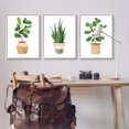 thumbnail image 2 of Stupell Minimal Potted Plants Botanicals Botanical & Floral Painting White Framed Art Print Wall Art, Set of 3, 2 of 8