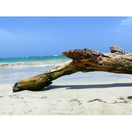 Exotic Wood Plugs Canvas Print Hot Republic Wood Exotic Beach Holiday Dominican Stretched Canvas 32 x 24 ()