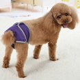 thumbnail image 5 of Pets Supplies Comfortable Magic Tape Brief Dogs Teddy Golden Retriever Walking Anti-harassment Pants, 5 of 5