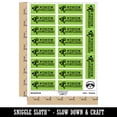 thumbnail image 2 of Mission Accomplished Spy Teacher Student School Sticker Set - Light Green - Gloss Finish - 2.00" Large, 2 of 7