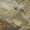 Khaki, variant on Addison Rugs Mayfield Premium Machine Washable Transitional Abstract Walnut Rectangle Rug, 10' x 14'