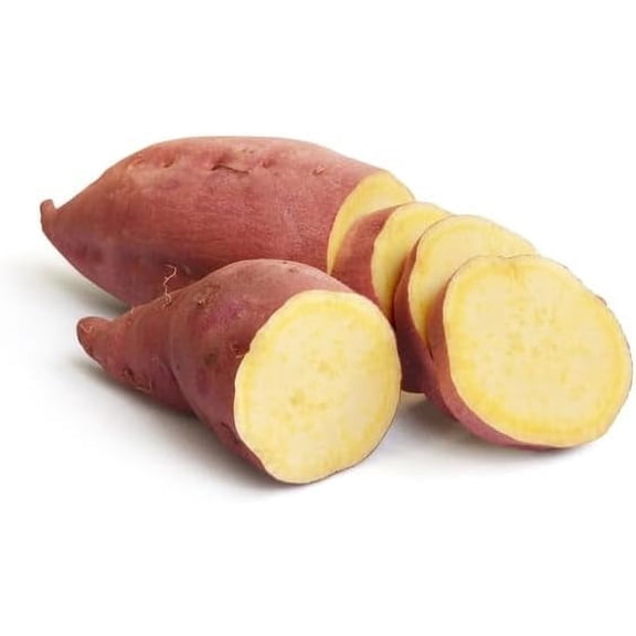 Yams Slips for Planting - Yellow Murasaki Sweet Potato Slips (5 Slips)