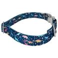 thumbnail image 6 of Country Brook Petz® Premium Dinosaurs Dog Collar and Leash, Small, 6 of 7