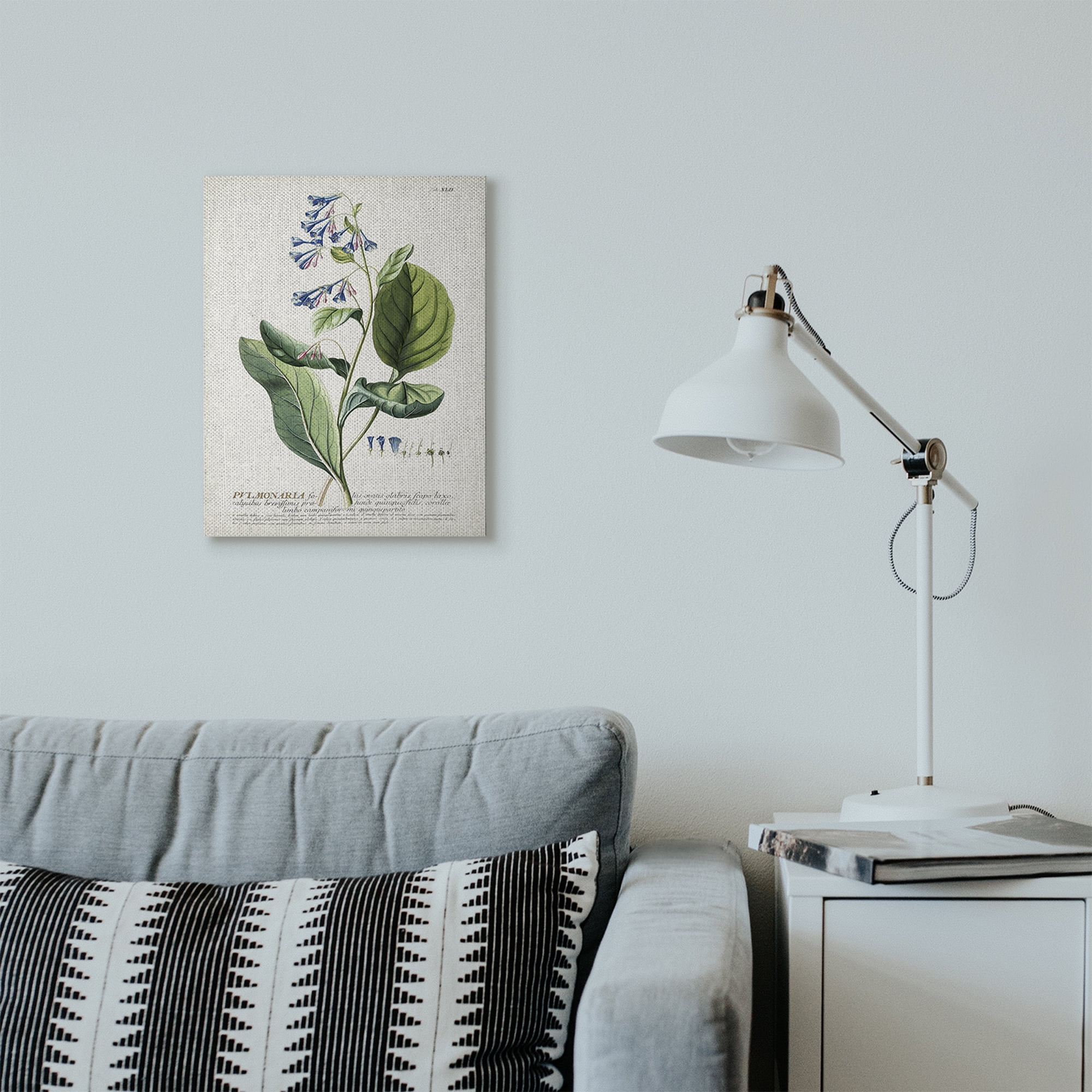 Stupell Industries Botanical Plant Illustration Blue Flowers Vintage Design Canvas Wall Art by Unknown