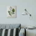 thumbnail image 2 of Stupell Industries Botanical Plant Illustration Blue Flowers Vintage Design Canvas Wall Art by Unknown, 2 of 6