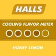 thumbnail image 4 of PR HALLS Relief Honey Lemon Cough Drops, 9 Drops, 4 of 8