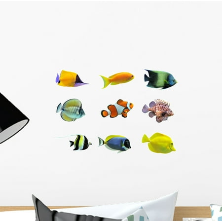 Fish Decal Set - Set Tropical Fish Wall Decal by Wallmonkeys Peel and Stick Graphic (12 in W x 9 in H) WM53070