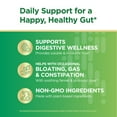 thumbnail image 5 of Daily Digestive Organic Prebiotic Fiber Powder | 8.5 oz. | Daily Supplement for Men and Women | by Renew Life, 5 of 6