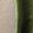 Army Green, variant on Dolkfu Camisole Trendy Summer Tops Women V Neck Spaghetti Strap Tank Tops Silky Sleeveless Women Tee Shirts L