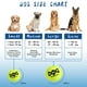 thumbnail image 5 of Pelotas de tenis para perros Squeaky, paquete de 12 unidades, 5 cm, duraderas, no tóxicas, 5 of 8