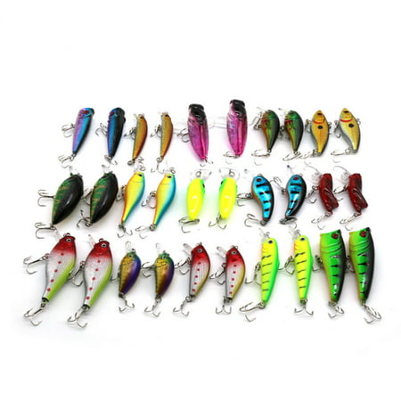 Zimtown 30Pieces of 4.5cm-6.5cm Bionic Fishing Lure Kit, Rugged and Durable Lifelike Artificial Swimbait Reble Hooks, for Bass Perch Walleye Pike (Best Bait To Catch Walleye Ice Fishing)