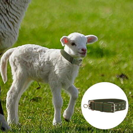 WHAMVOX Tie Sheep Collar Livestock Feeding Supply