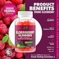 thumbnail image 3 of Elderberry Sambucus Gummies with Vitamin C, Echinacea, Propolis for Kids & Adults - 100 Gummies, 3 of 6
