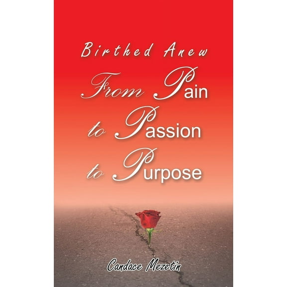Birthed Anew: From Pain to Passion to Purpose, (Paperback)