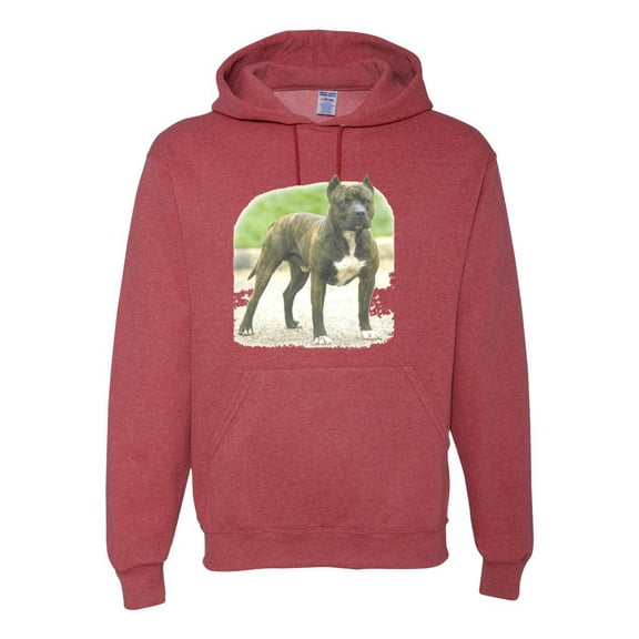 Wild Bobby, Pitbull Dog Animal Pet Lover, Dog Lover, Unisex Graphic Hoodie Sweatshirt, Vintage Heather Red, X-Large