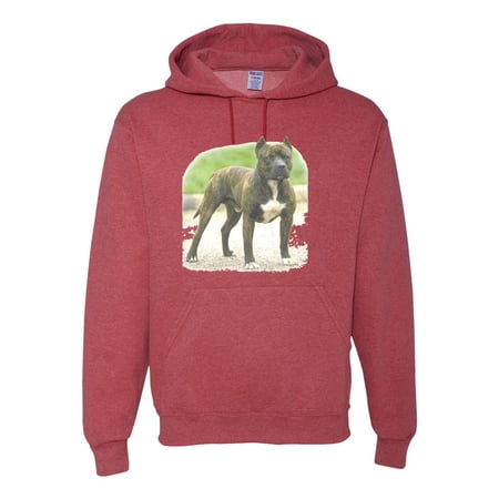 Wild Bobby, Pitbull Dog Animal Pet Lover, Dog Lover, Unisex Graphic Hoodie Sweatshirt, Vintage Heather Red, Small
