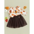 thumbnail image 3 of CIYCuIT Toddler Baby Girl Thanksgiving Dress Pumpkin Turkey Print Long Sleeve Tulle Patchwork A-line Dress Infant Casual Cute Clothes 6M 12M 18M 24M 3T, 3 of 8